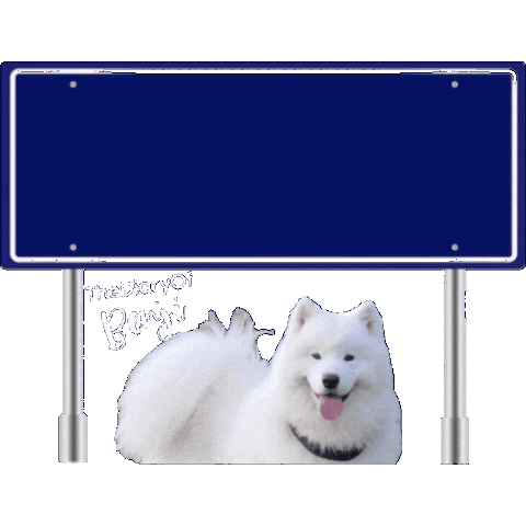 Eindhoven Brabant Sticker