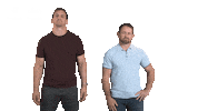 Shane Williams Reaction Sticker by PrincipalityBS