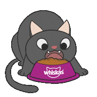 Cat Racao Sticker by Whiskas Brasil