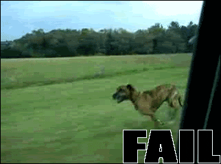 rainnarajput giphyupload GIF