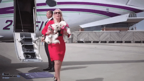 Channel Islands Ladies GIF by Real Housewives of Jersey