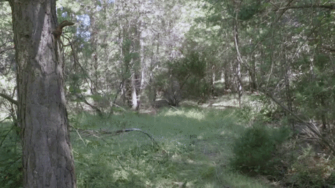 GIF by À Punt Mèdia