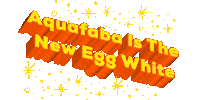 Egg White Sticker by Aquafaba Test Kitchen