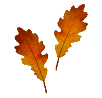 Fall Season Sticker by SoulRoboX s.r.l.