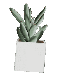 Relax Plant Sticker