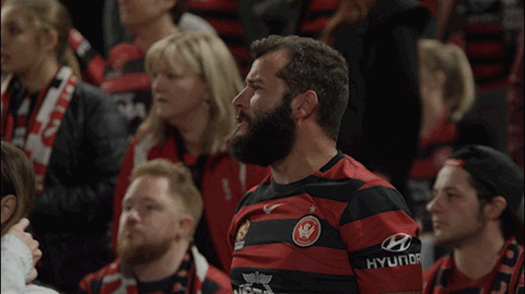 wswanderersfc giphyupload reaction football celebration GIF