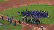 Celebrate New York Mets GIF by MLB