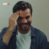 Berk Atan Laughing GIF by TRT