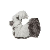 Augusta Georgia Sticker by Augusta University