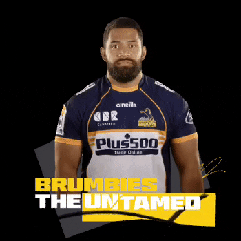 Scott GIF by BrumbiesRugby