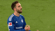 Football Love GIF by FC Schalke 04