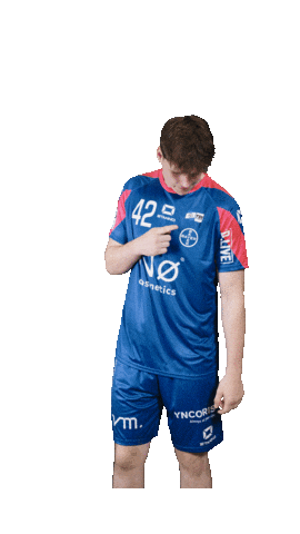 Logo Handball Sticker by TSV Bayer Dormagen