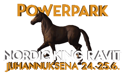 PowerPark giphyupload juhannus powerpark ravit Sticker