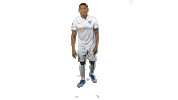 Choclo Sticker by LDU_Oficial