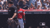 Regular Season Sport GIF by MLB