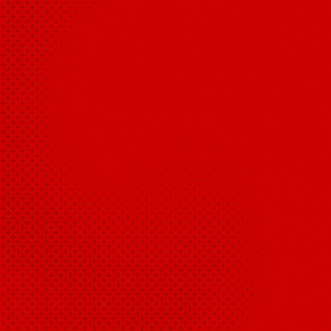 Bayer 04 Bundesliga GIF by Bayer 04 Leverkusen
