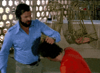 Film Fly GIF