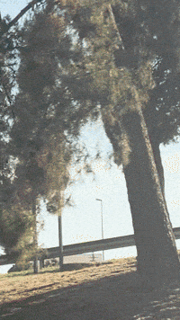 Mad Travel GIF