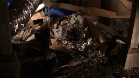 season 4 episode 13 GIF by Workaholics