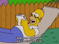 homer simpson episode 10 GIF