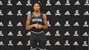 Wsuathletics GIF by WinonaStateATH