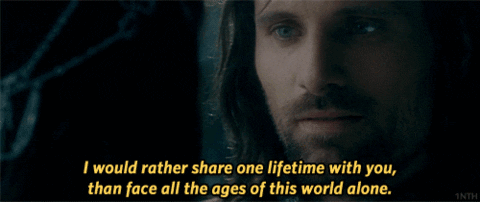 sad lord of the rings GIF