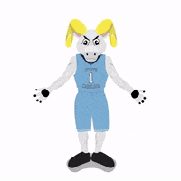 Celebrate Tar Heels GIF by Wells Fargo