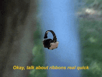 rohmontgomery rick ricky ribbons rickymontgomery GIF