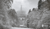 Mood Snow GIF by Stadt Kassel