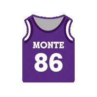 Basketball Nu Sticker by Niagara University