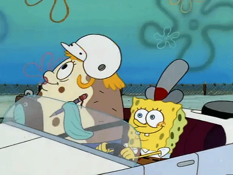 season 1 Naughty Nautical Neighbors GIF by SpongeBob SquarePants