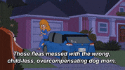 Cat Animation GIF by HouseBrokenFOX
