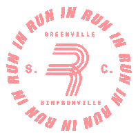 South Carolina Runner Sticker by Run In