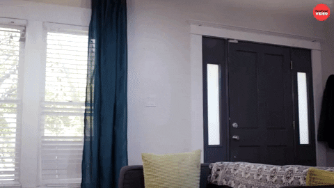 Merry Christmas GIF by BuzzFeed