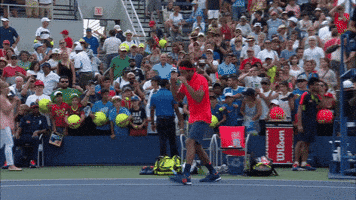 jo wilfried tsonga tennis GIF by US Open