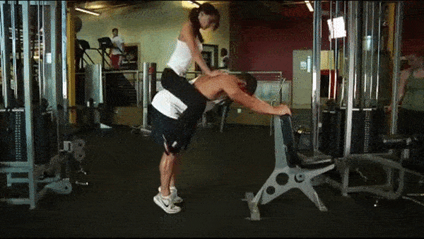 bodybuilding-and-fitness giphyupload oslik ikry GIF