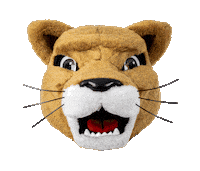 Mascot Heart Eyes Sticker by University of Houston