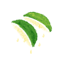 Orange Fruit Sticker