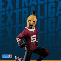 Hockey Spa GIF by Tipsport extraliga