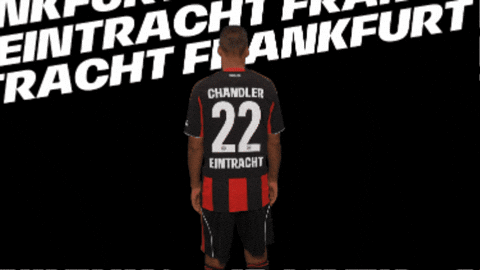 Lets Go Bundesliga GIF by Eintracht Frankfurt