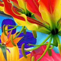 maroon 5 GIF by NOW That's Music