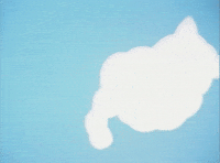 Cat cloud