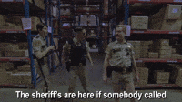 The Sheriff's Are Here