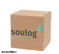 Ecommerce Logistica Sticker by Soulog