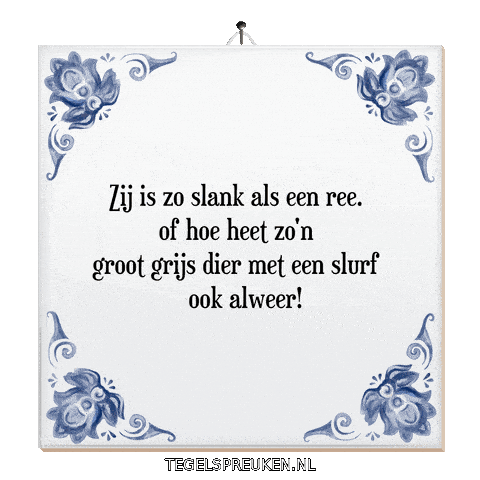 Nl Wijsheid Sticker by Tegelspreuken.nl