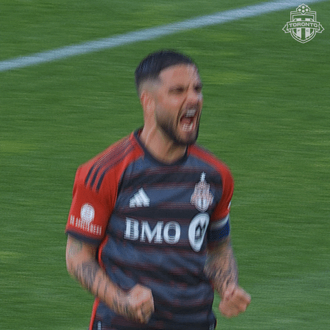 Bmo Field Football GIF by Toronto FC