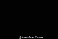 Rte Reis GIF