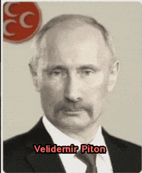 Rte Chp GIF