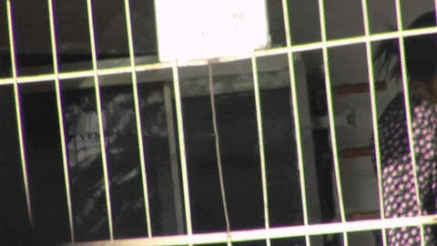 AnnieBonny giphyupload GIF