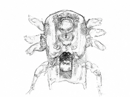 drawings dialogue GIF by Alex Boya